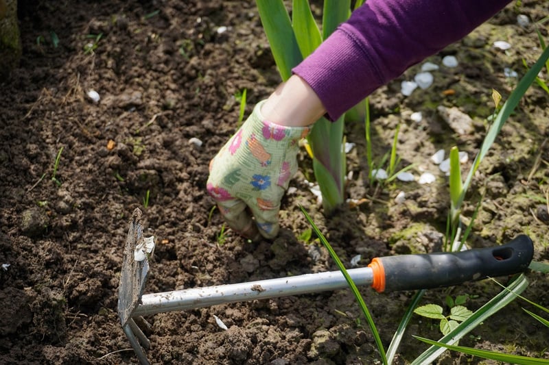 Gardening and Weeding